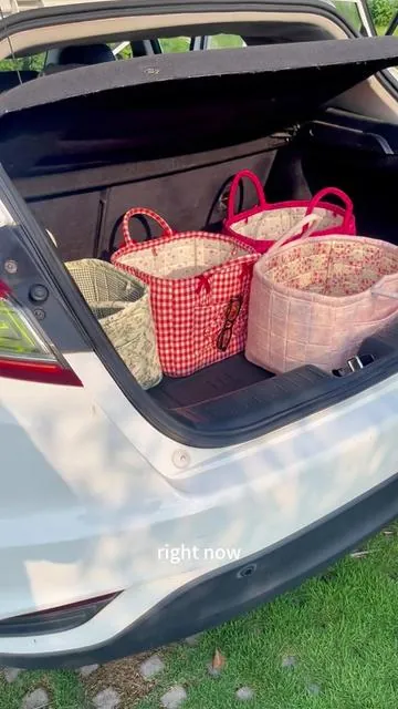 Messy car? This one basket handles gifts, gym bags, work totes, and groceries—all while keeping your interior spotless.