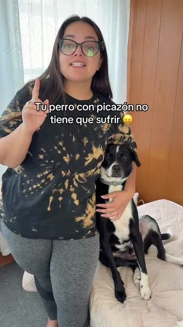 Si esperas a que la picazón de tu perro desaparezca sola, podrías estar ignorando un problema que necesita atención diaria. ⚠️ Petrivium es un suplemento 100% natural con omega-3, cúrcuma, aceite de salmón, vinagre de manzana, yuca y extracto de romero, además de vitaminas y probióticos para apoyar piel, pelaje y sistema inmune. #alergiasperros #cuidadoanimal #saludcanina #suplementosperros #summerVibes 
