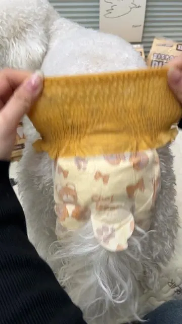 Una pequeña cosa buena salvó toda mi casa.✌️#diapers #cutedog #fvp #tiktokshop #puppy 