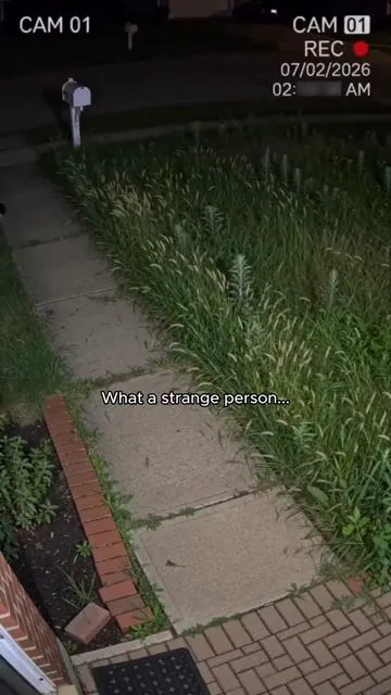 Should I call the police?🤷🏼‍♀️🚔#lawntrimmer #gardeningtools #lawncare #Seese #TikTokShop