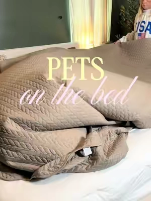 Pet allowed on your bed?! #petfriendly #petfriendlyhome #petfriendlybedding 