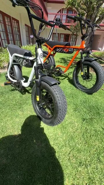 Here is a side-by-side of the two Eskute V201 and V101 