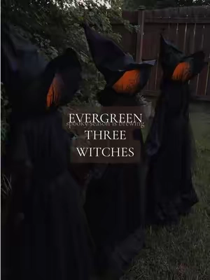 The sisters are back. My most complimented Halloween decor🧙‍♀️🎃 #halloween #summerween #outdoorhalloweendecor #halloweendecorations 