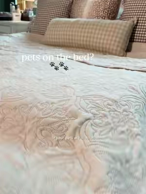 do you allow your pets on your bed? #petfriendlybedding 