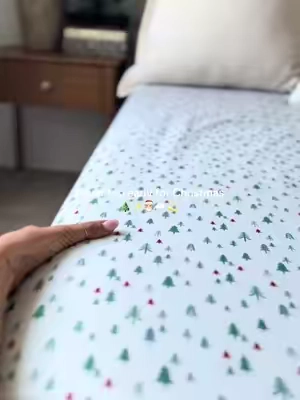 these went way too fast last year😭🎁 #christmas #christmassheets #winterbedding #bedding 