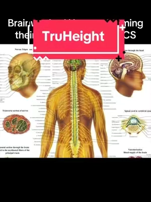 Read the Reviews! ⭐️⭐️⭐️⭐️⭐️ #sports #athleticperformance #truheight 