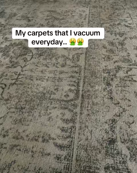 The extra handheld attachment makes it so easy to clean stains anywhere.. #sharkcarpetxpert #carpetcleaner #carpetcleaning #stainremoval #petstains 