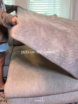 pets on the couch?? 
