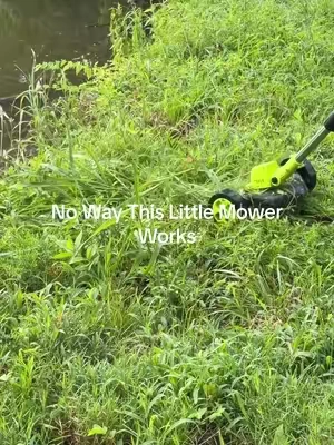 I honestly didn’t expect this little cordless mower to handle the grass and tall weeds along our waterline. #seese #cordlesslawnmower #weedtrimmer #lawncare #yardtools   