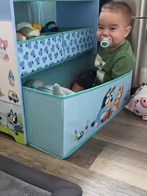 #tiktokshop #organizador #jugetes 