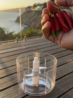 Mini meat grinder for home use , perfect for grinding garlic, small chilipeppers, sauces, and baby food. A great choice for those who cookoften#dealsforyoudays #summerwins #DealsForYouDays #tiktokmademebuylt #fyp 
