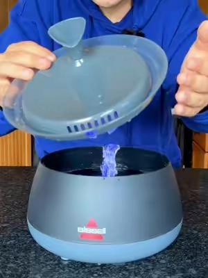 No more nasty slimy pet bowls 🤢 BISSELL just put these on a limited time launch sale #petwaterfountain #catbowl #dogbowl #waterbowl #petwaterbowl 