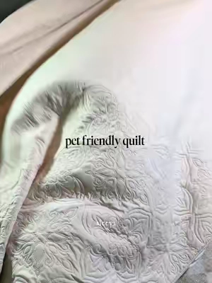 pet friendly bedding?! yes please 