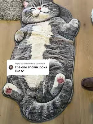 Replying to @dirkdanko #catlovers #catrug #catthings #cattok #littermat 