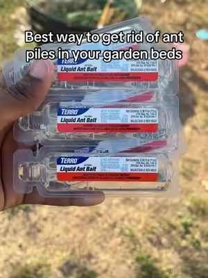 #garden #organic #pestcontrol 