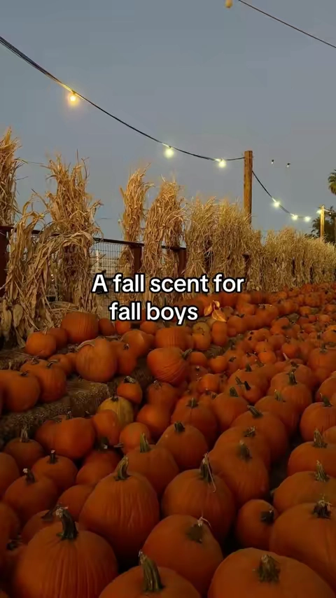 The ladies love this one #fall #colognetiktok #trending 