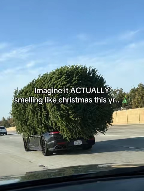 7679951330399489310