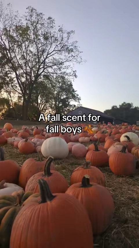 The ladies love this one 👆 #viral #fall #colognetiktok #trending 