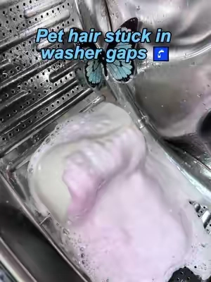 Your clothes aren’t the problem. Your washer is #CleaningTips#tiktokshop #freeshipping #PetParentEssentials #pethacks 