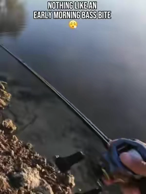 7681362982437195039