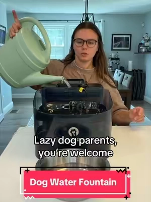 A much better, and safer alternative for your dog! 🐶👅 #dogwater #dogwaterfountain #dogparents #dogessentials #tiktokshopcreatorpicks 