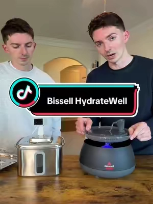 stainless steel vs bissell hydratewell 💦. Which is better? #petwaterfountain #catbowl #waterbowl #petwaterbowl #petessentials 