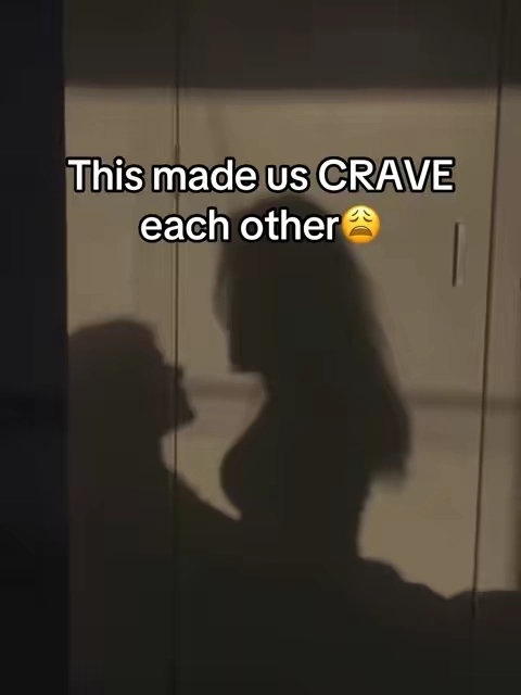 7682127735551986957