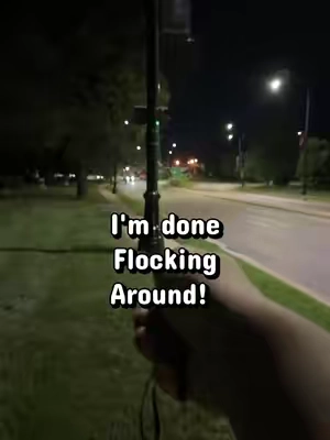 I use my cat toy to point out a flock camera on the city street! #cattoy #flashlight #pointer #flockcamera #flockcameras 