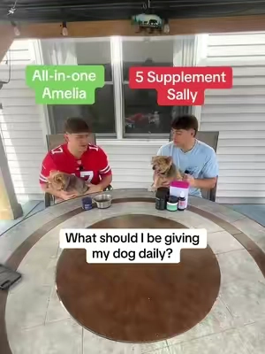 My dog hated eating 5 different chews a day, so I switched her to something that gives her everything she needs in 1 scoop #dogfoodtopper #dogdailysupport #dogdailysupplments #dogsupplements #petlabcodf14 