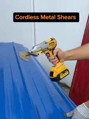 A practical tool for cutting metal sheets.💪✂️🔋#ecarke #metalcutter #metalshears #dewalt #toolupgrade 