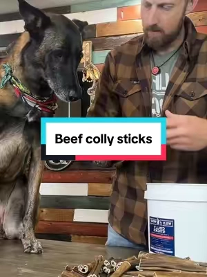 This deal won’t last. Wild Wolf 6” Beef Colly Sticks come in a massive 5 lb bucket #BeefCollySticks #Dogchew #singleingredientdogtreats #dogtreats #DogOwners @Wild Wolf Bully Sticks 