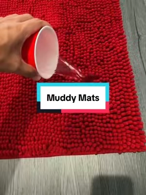 Let me save you from ordering the wrong one 🙌🏽 #muddymat #dogsoftiktok #antimudmat #dogmusthaves #doormat 