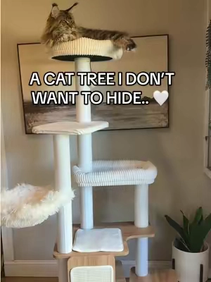 Finally a cat tree that I actually WANT sitting in my living room. 🤍 It has the prettiest wood and cream design, plenty of scratching posts, multiple places to lounge, and it’s big enough for my Maine Coon. My cats immediately claimed it. #CatTree #CatFurniture #CatLovers #CatMom #HomeFinds