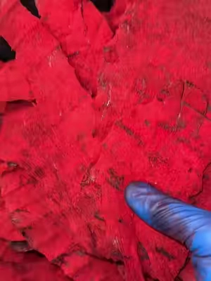 Spicy Red Jerky 6oz #elranchitojerky #carneseca #fyp #beefjerky 