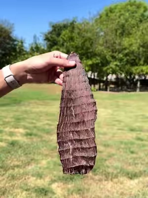 Original Jerky.. Our most versatile jerky 🤤 #elranchitojerky #carneseca #fyp #beefjerky 