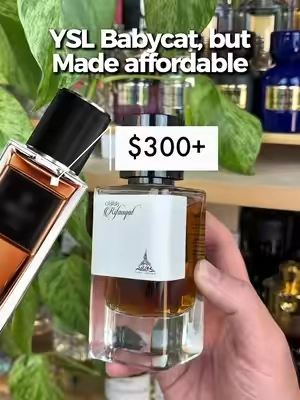 YSL Babycat vs. Paris Corner Rifaaqat - How close are they? 🤔 #fragrancetok #fragrancetiktok #mensfragrance #fragrances #yslbabycat 