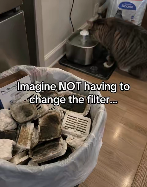 I love my new cat water fountain 