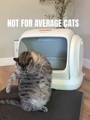 This is NOT an average-size litter box. 😂 106L of space and made for multiple cats or the extra-large cats. Leo weighs 23lb and approves. #AutomaticLitterBox #LargeCats #CatOwners #mainecoon #CatProducts  @Meowant 