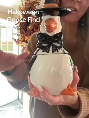 The cutest little Halloween Goose canister find 🪿🎃 #cozyhome #homefinds #halloweendecor #halloweenfinds #kitchenfinds 
