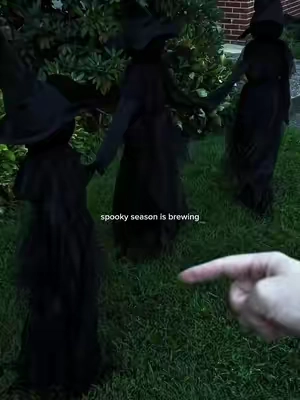 #spookyseason #halloweendecor #falldecor #spookydecorations #witches