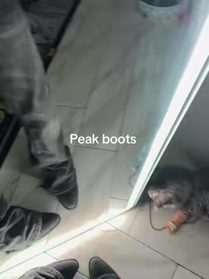 Peak boots #gothic #gothicstyle #boots #western #fashiontiktok 