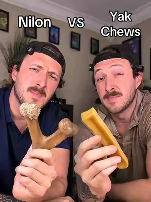 Which type of chew is better, Nylon or Yak Chews?