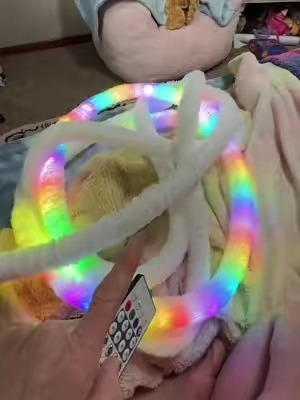 How about a giant noodle RGB LED light string that soft and fuzzy that you can shape!  Remote or app controlled these lights are so cool! #rgblights #coollights #ledropelight #ropelights #tiktokshopcreatorpicks 