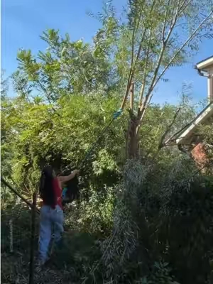 SEESII 2 in 1 Cordless Pole Saw & Mini Chainsaw with 2 Batteries, Power Electric Polesaw for Tree Trimming, Chain Saw with Extension Pole, SEESII power tools and hand tools #creatorsearchinsights #saw #tools #sale #arjunchuwan @SEESII Tools 