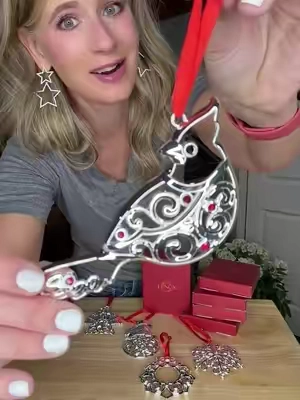There’s something so special about Lenox at Christmas! ✨🎄 These ornaments are beautiful, timeless, and perfect for gifting or keeping for your own tree. 🎁✨ #LenoxOrnaments #ChristmasOrnaments #ChristmasDecor #HolidayDecor @QVC, Inc #QVCLoyaltyProgram
