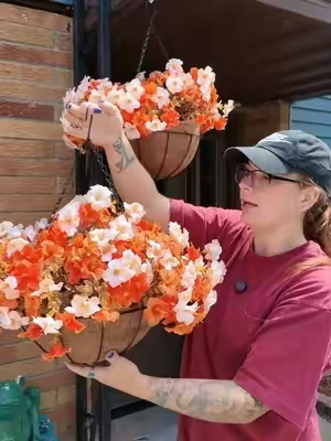 Don’t be tempted by the mums this year we already know how it ends 😩 #falldecor #mums #flowersforfall 