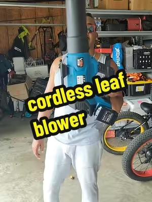 the cordless powerful leaf blower! this is true power! #lawncare #leafblower #powerfulleafblower #cordlessleafblower 