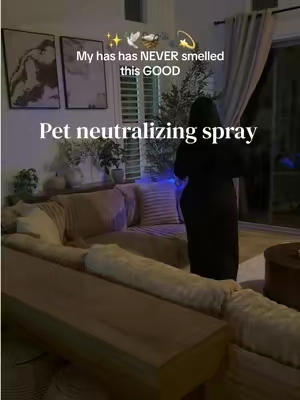 This little odor neutralizing spray gn is about to stay in my hand 24/7. The way it makes everything smell SO fresh 🤌🏼 #PetOdorEliminator #PetOdorNeutralizer #DogMomFinds #PetMustHaves #cleaningtiktok 