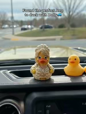 Dolly duck To my queen forever 😭#dolly #dollyduck #DollyPartonForever #CountryMusic #CountryMusicLegend 
