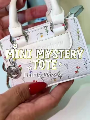 #tiktokshopstockup #mysterybag #cutebag #IrisAndRainbow #irisarmy 